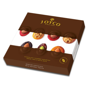 Schokolade Dried Fruits Mit Hazelnuss 157g
