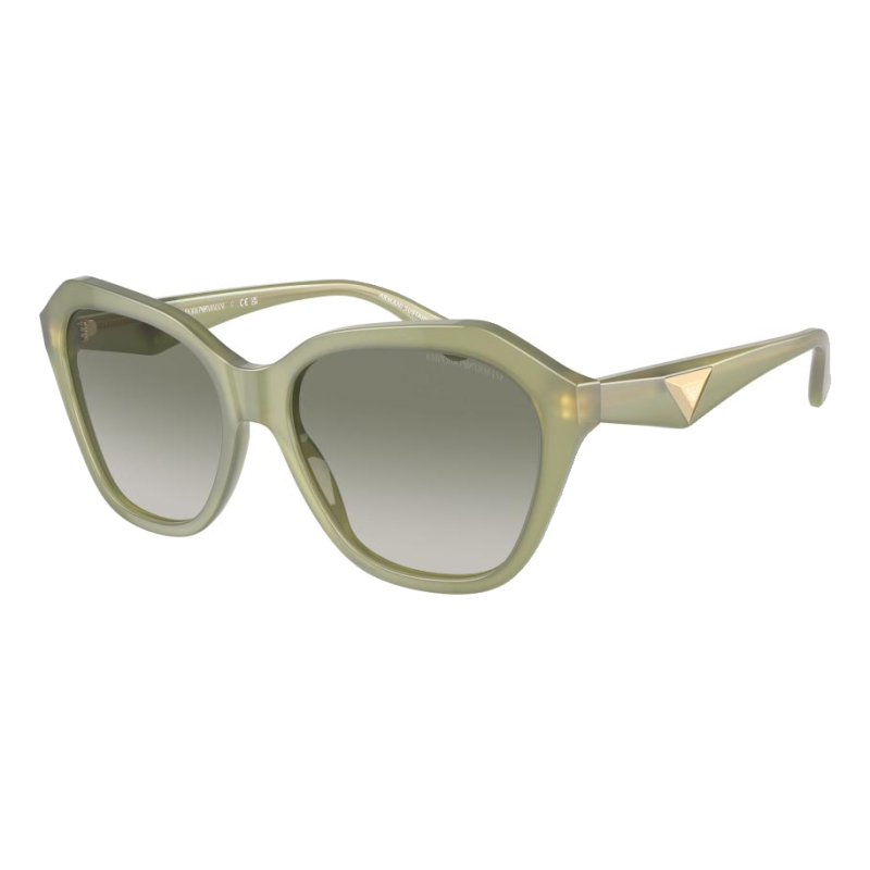Armani Emporio EA422161168E