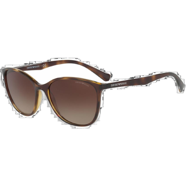 Emporio Armani 0EA407350261356 