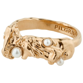 Pilgrim 842414004 Ring