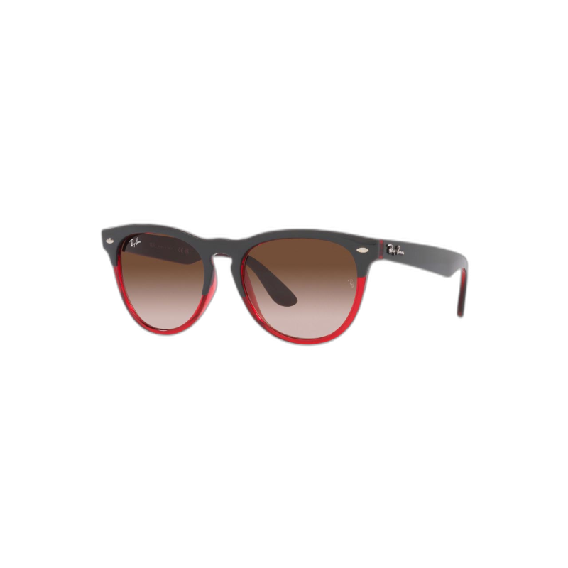 Ray Ban 0RB447166311354