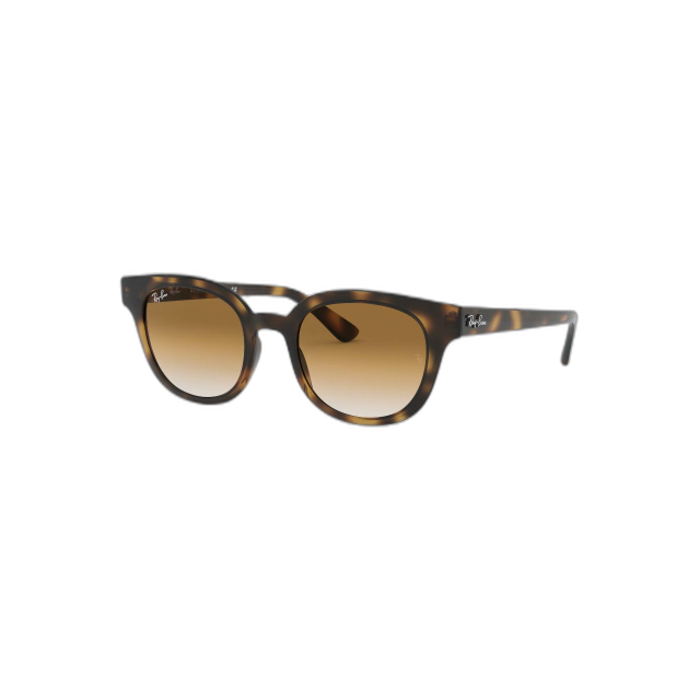 Ray Ban 0RB4324710/5150