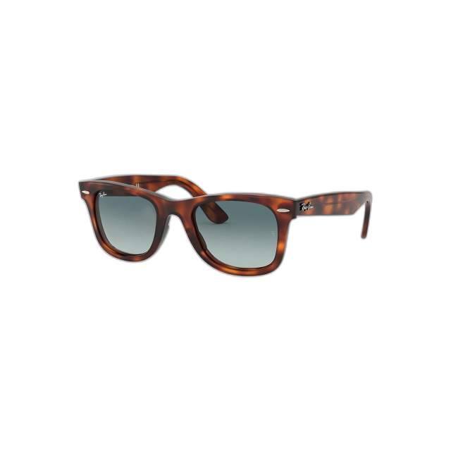 Ray Ban 0RB434063973M50