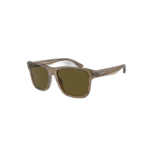 Emporio Armani EA4208605573