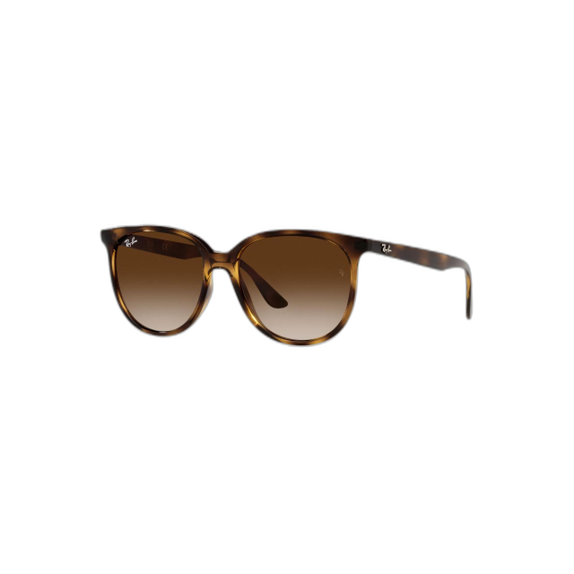 Ray Ban 0RB4378710/1354