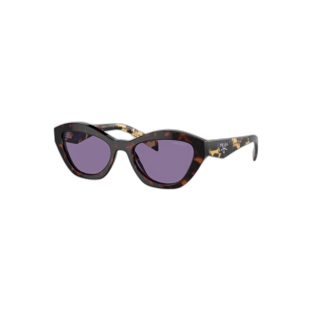 Prada PRA02S17N50B