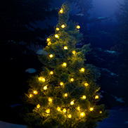 Weihnachtsshopping vom Feinsten!