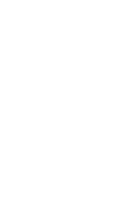 Festina