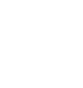 Geisha