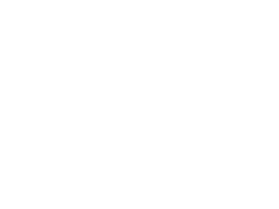 Playmobil